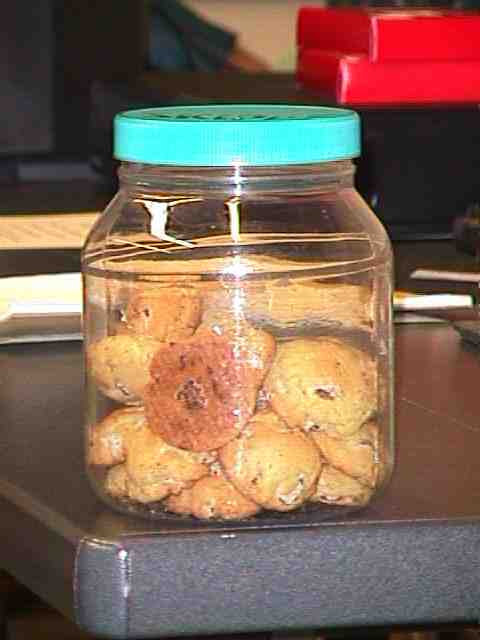 COOKIES.JPG (20004 bytes)